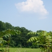 2009-08-16 (103)